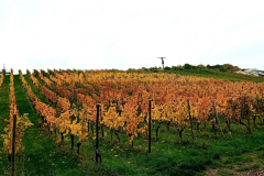 2025_Herbstwanderung