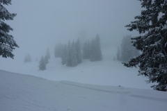 warth-2014-012