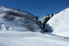 warth-2014-034