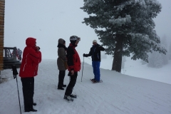 warth-2014-050