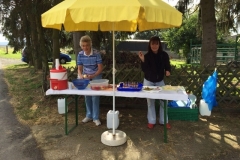 IMG-20160822-WA0012