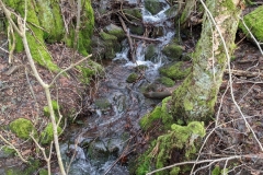 MVIMG_20200216_130000