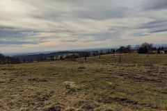 MVIMG_20200216_134455