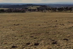 MVIMG_20200216_134926