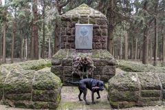 MVIMG_20200216_135235