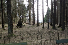 MVIMG_20200216_135247