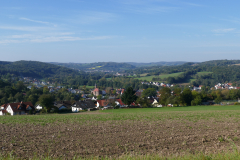 P1800785