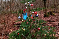 Foto-von-Frank-Steigerwald10