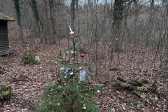 Foto-von-Frank-Steigerwald4
