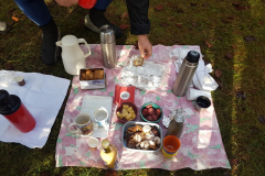 IMG-20241208-WA0003