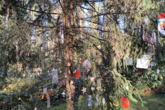IMG_20241208_120100