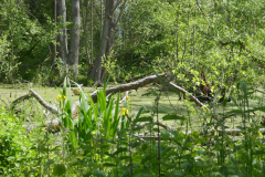 P1240471