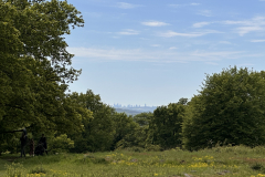 Foto015_Blick-nach-Frankfurt